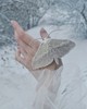 Сынхён