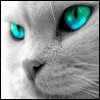 hasky2008@mail.ru