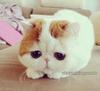 М@рин@