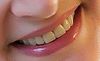 Mashania
