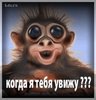 karga$$$