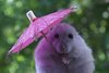Вика Викуся 1987