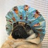 crazyma66ot