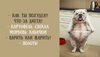 Полинаcat