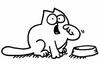 Simon's Cat