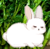 greenrice