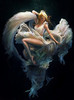 panor2009@yandex.ru