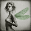 Rivka