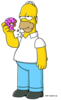 Nelafy