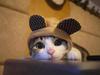 MiaMeow