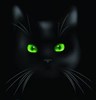 kitky