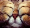 Лёлька Карамболька