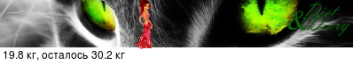 График