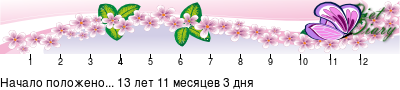 График